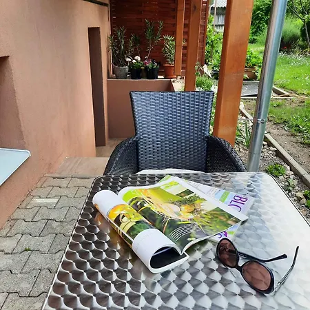 Apartamento In Siofok/balaton 36443 *