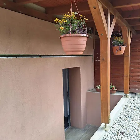 In - Balaton 36443 * 希欧福克