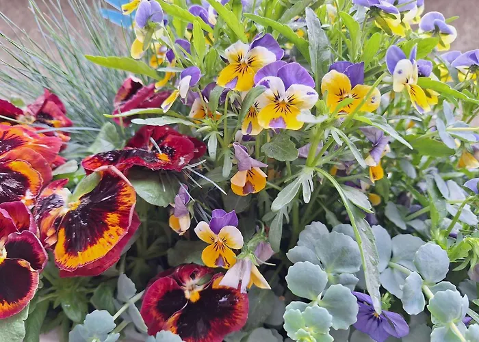 شقة In - Balaton 36443 شيوفوك