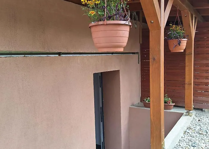 In - Balaton 36443 * شيوفوك